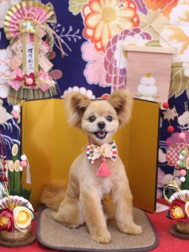 20240131クッキーくん